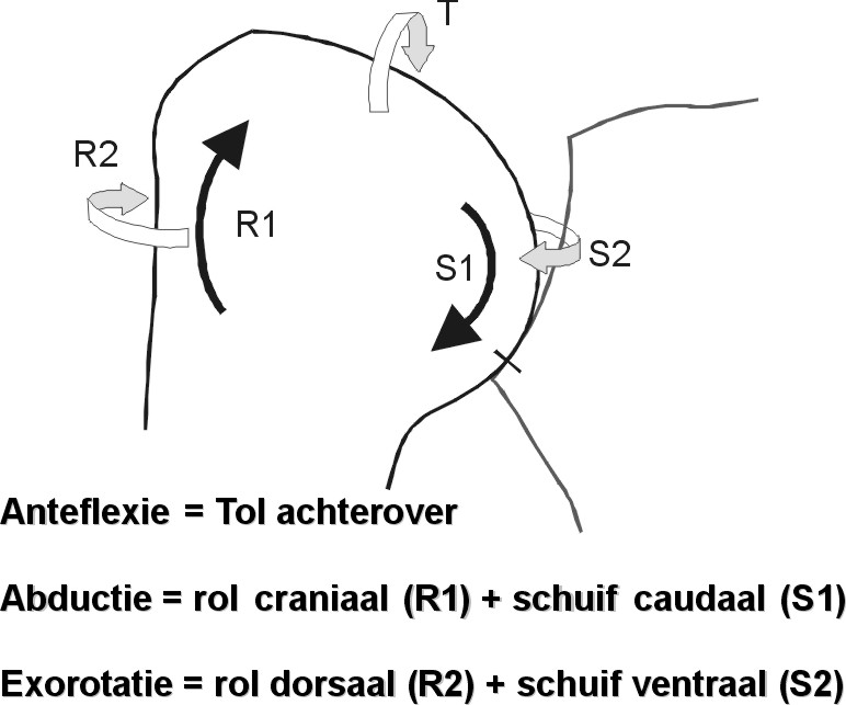 Anteflexie+Abductie+Exorotatie glenohumeraal
